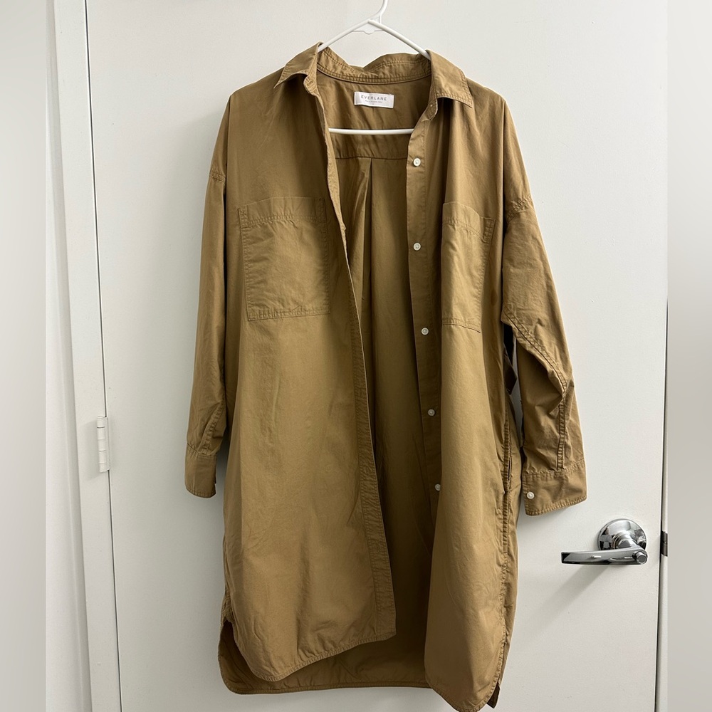 Everlane Long Sleeve Dress - Brown